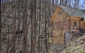 The Phoenix Cabin With Hot Tub In Gatlinburg!